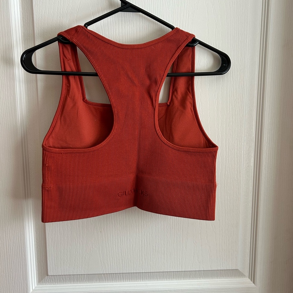 Gilly Hicks Terracotta Ribbed Tank - Picture 3 of 5